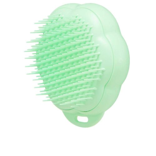 PET TEEZER CAT grooming brush